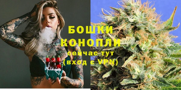 шишки Алексеевка